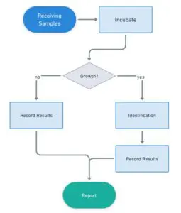 Basic flow chart